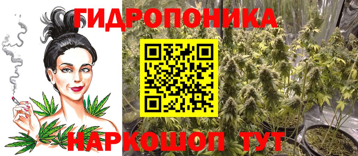 Бошки Шишки гибрид Ливны